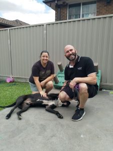 dog trainer helping out family