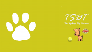 dog trainer near me, dog trainer sydney and northern beaches