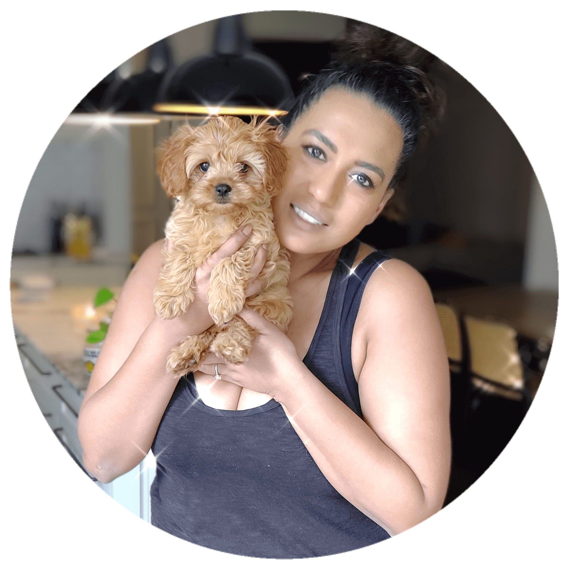 puppy training cavoodle